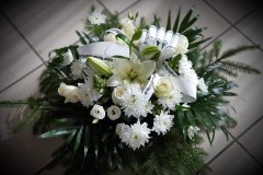 IMG-43416c24a1c63c75ae548640445bf521-V