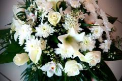 IMG-87dd6e721b5f48ad6e66c5f258bdc670-V