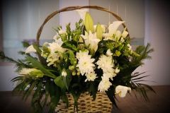 IMG-a5b43e968bb0832cdd1ad57dd2899db6-V