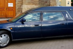 Наш автопарк - катафалки и автобусы