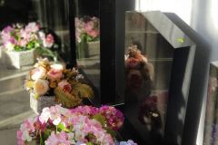 IMG-d2a39c72824a44dd2d1b7cffb8732f22-V