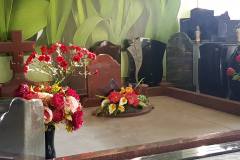 IMG-fb9deccd7a310f39c2b02658d81edf32-V