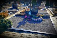 izobrazhenie_viber_2019-06-12_00-04-38